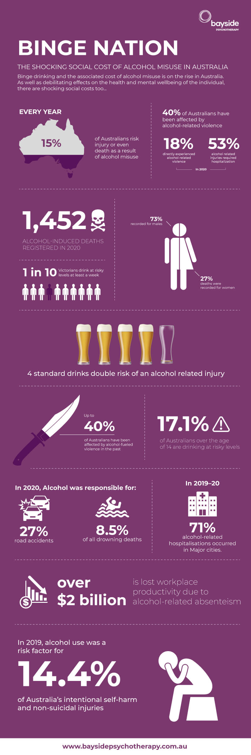 Bayside Binge Drinking Infographic