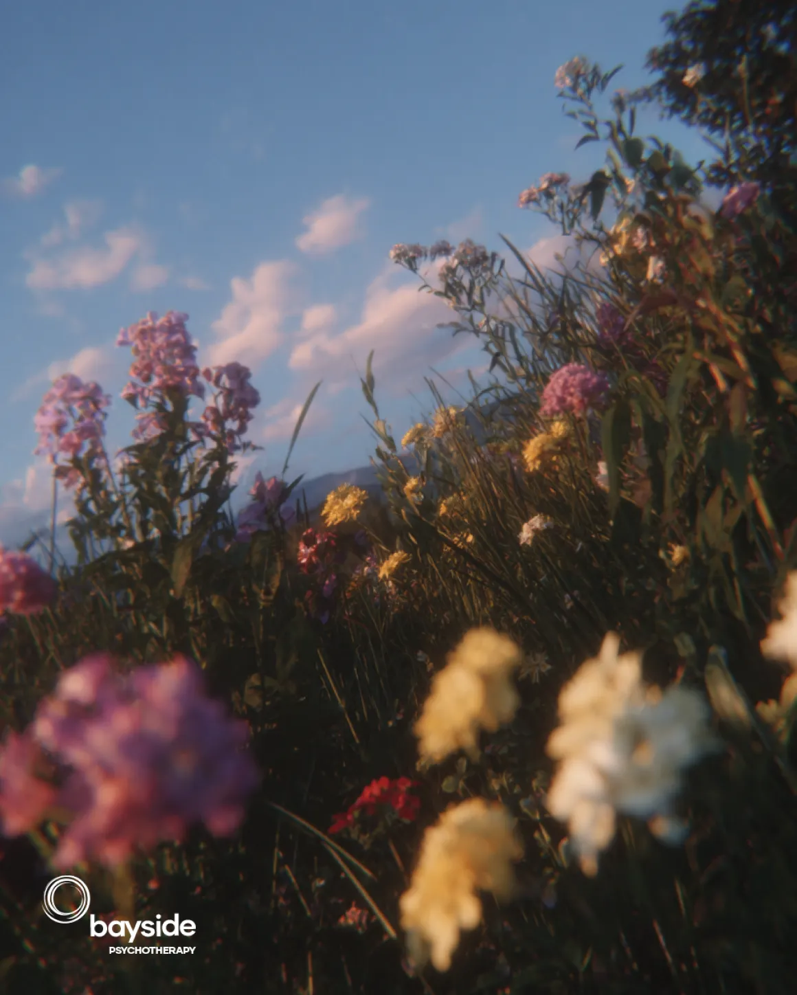 Blushing Hypnotherapy - Bayside Psychotherapy