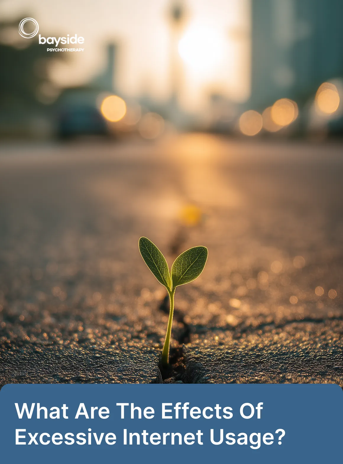 What Are The Effects Of Excessive Internet Usage