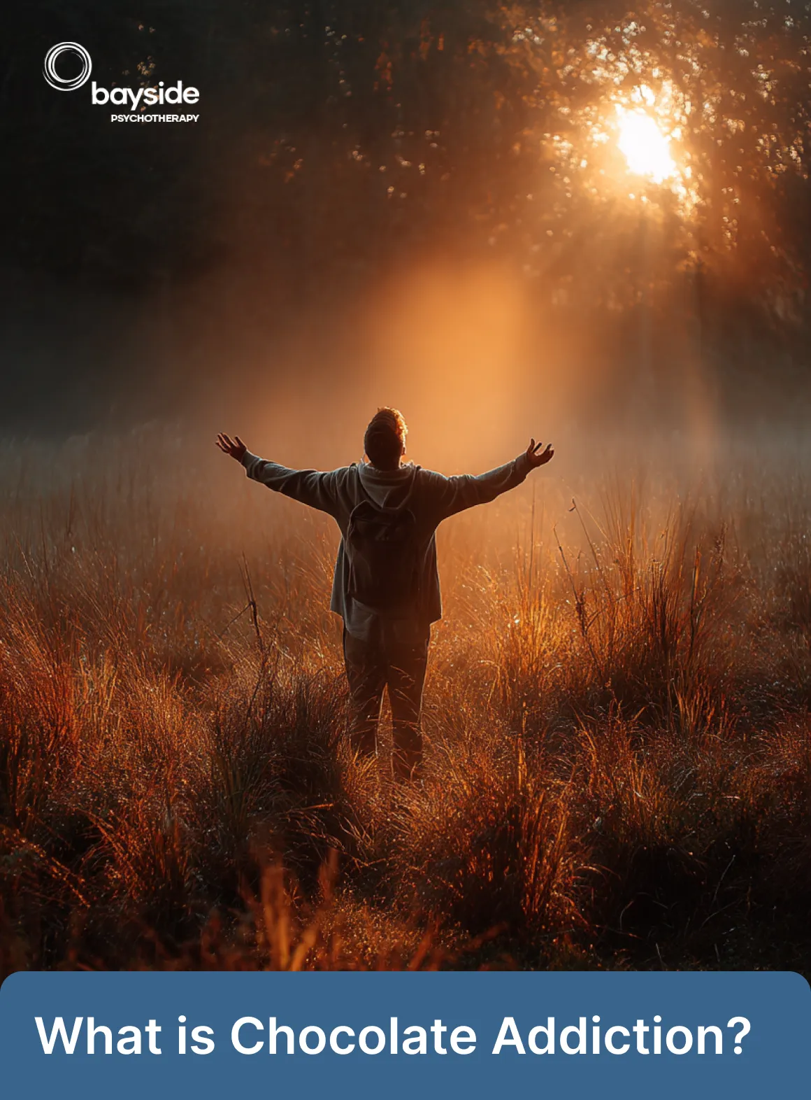 What is Chocolate Addiction Counselling & Therapy - Bayside Hypnotherapy