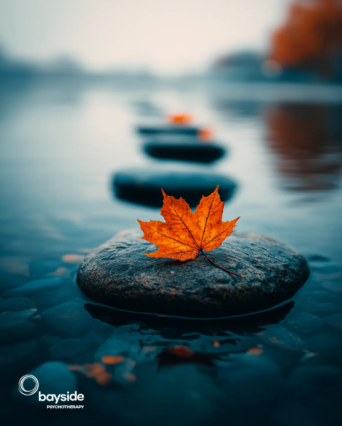 depression Therapy & Counselling - Bayside Psychotherapy