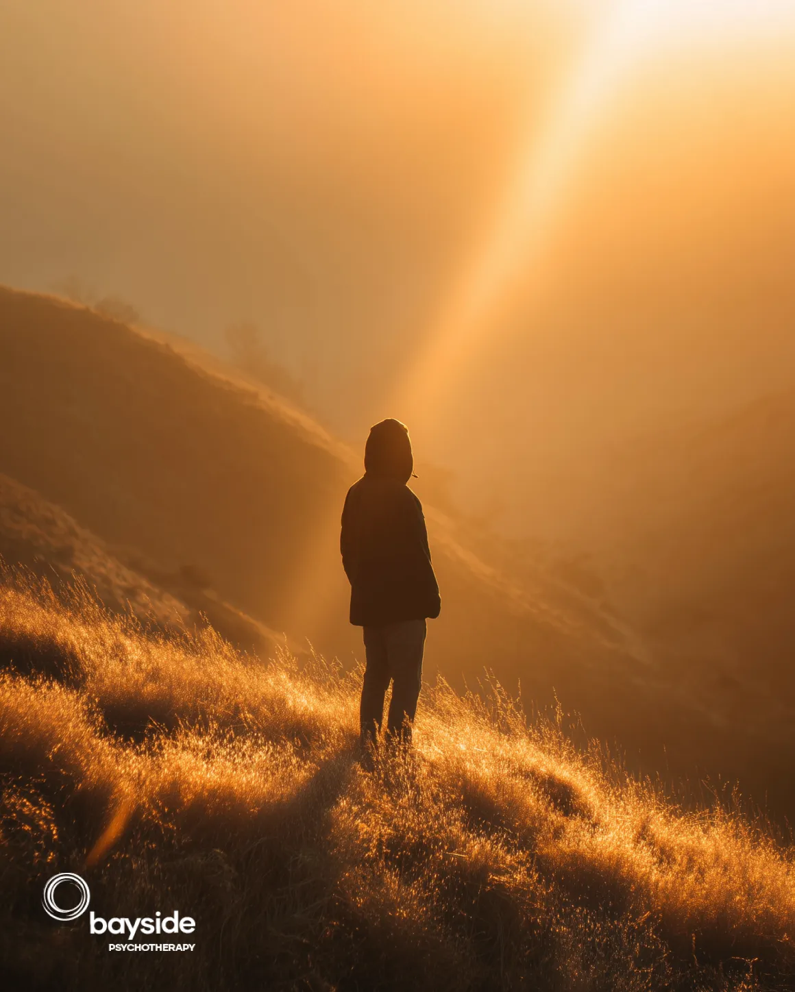 Psychologist Melbourne - Bayside Psychotherapy