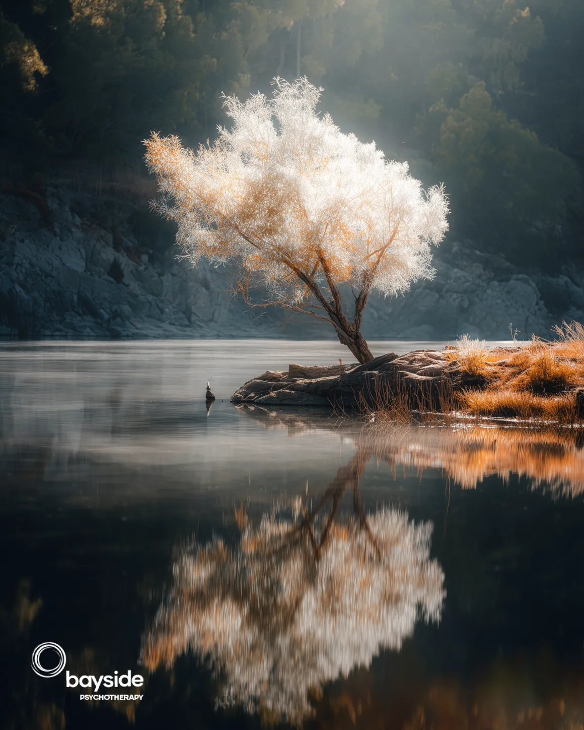 types of depression - depression Therapy & Counselling - Bayside Psychotherapy